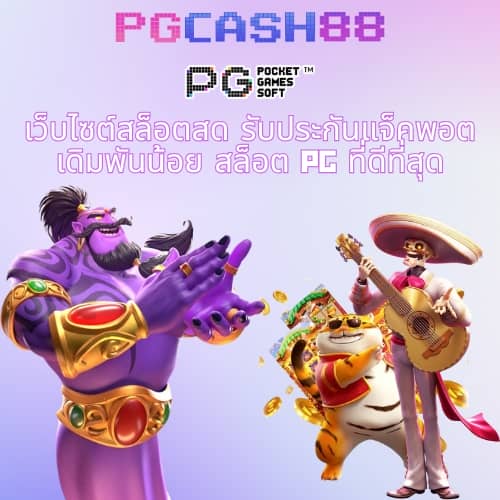 scg9 สล็อต